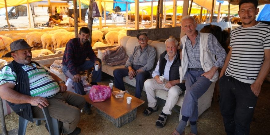 samsunda-hayvan-pazari.jpg