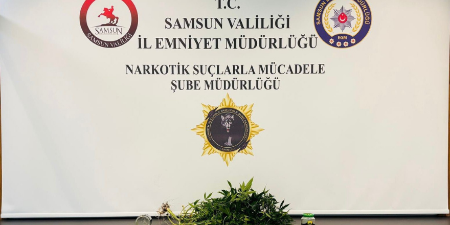 samsunda-kenevir-2.png