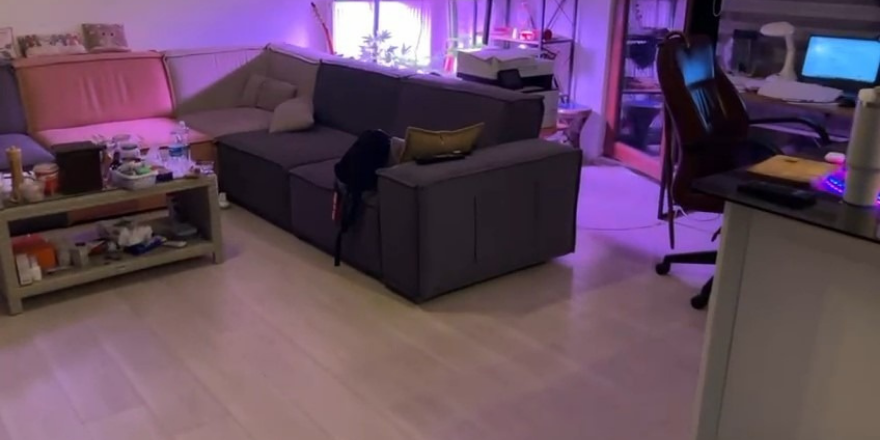 samsunda-kenevir.png