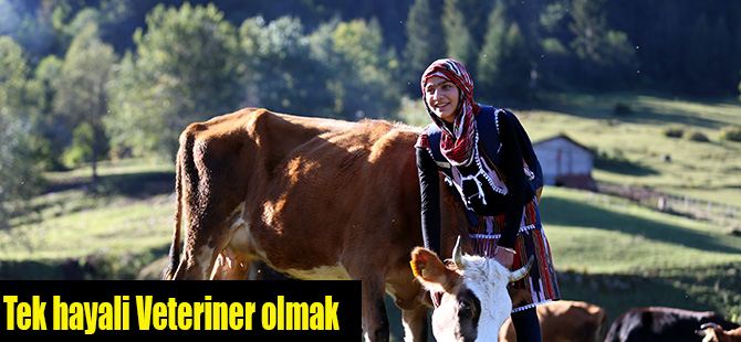 tek-hayali-veteriner-olmak-001.jpg