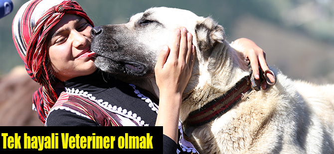 tek-hayali-veteriner-olmak.jpg