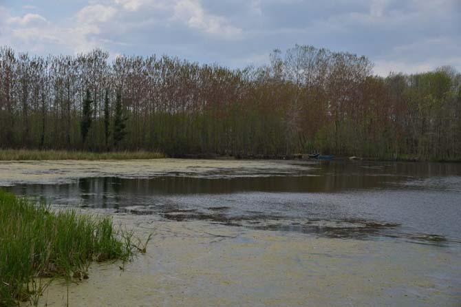 termede-beton-yol-caslismalari.jpg