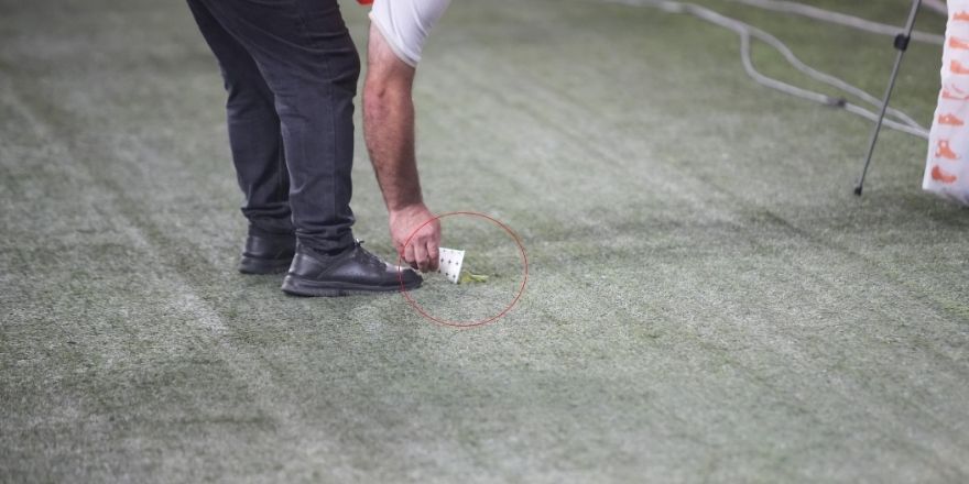 uefa-avrupa-ligi-play-off-turunda-samsunspor-ile-panathinaikosun-karsilastigi-macta-19-mayis-stadyumunda-peygamberdevesi-olarak-bilinen-mantodea-bocekleri-objektiflere-yansidi.jpg