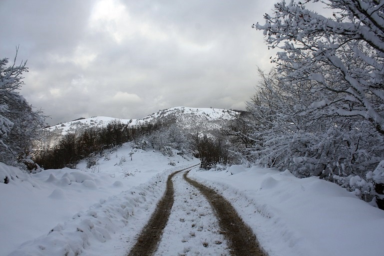 yakakent-belediyesi-kar-mucadelesi5.jpg