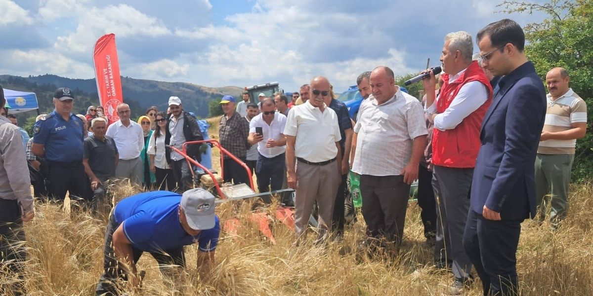 yakakentte-organik-kavilca-bugdayi-hasat-senligi-duzenlendi-001.jpg