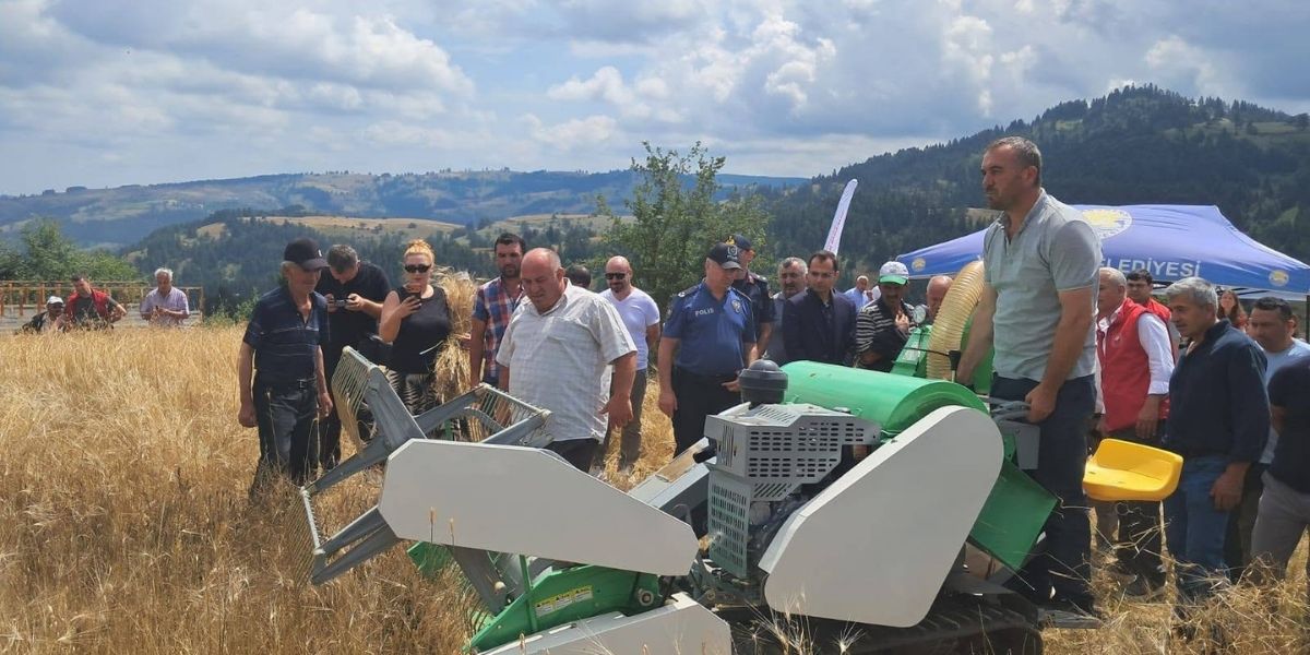 yakakentte-organik-kavilca-bugdayi-hasat-senligi-duzenlendi-003.jpg