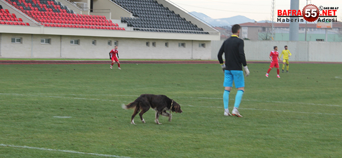 yilport-samsunspor-fatsa-belediye-macinda-guzel-kareler-2.jpg