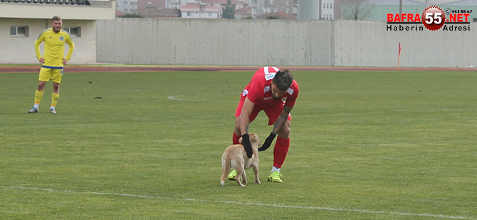 yilport-samsunspor-fatsa-belediye-macinda-guzel-kareler-3.jpg