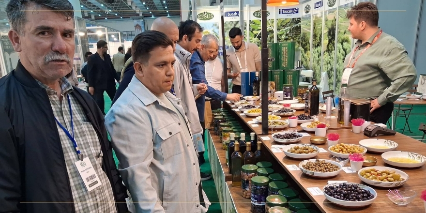 zeytin-fuari.jpg