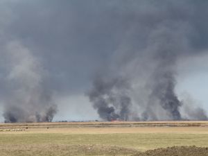 Alaçam'da sazlık yangını