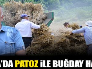 Bafra'da Hala Patoz İle Harman Yapılıyor
