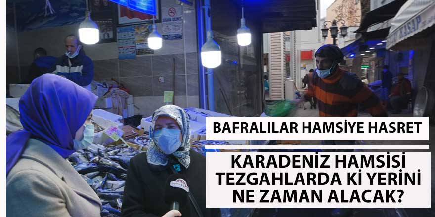 Bafralılar hamsiye hasret