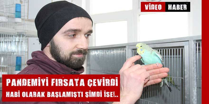 Hobi olarak başladı merakı şimdi yüzlerce kuşla devam ediyor