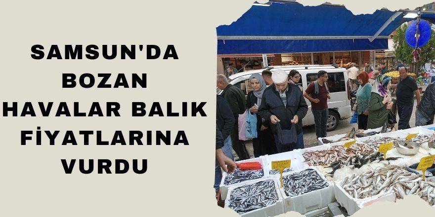 Samsun'da soğuyan havalar balık fiyatlarına vurdu