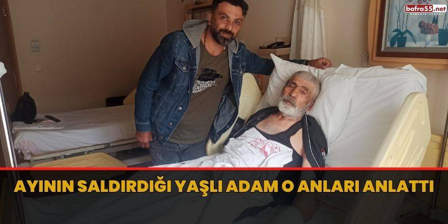 Ayının saldırdığı yaşlı adam o anları anlattı