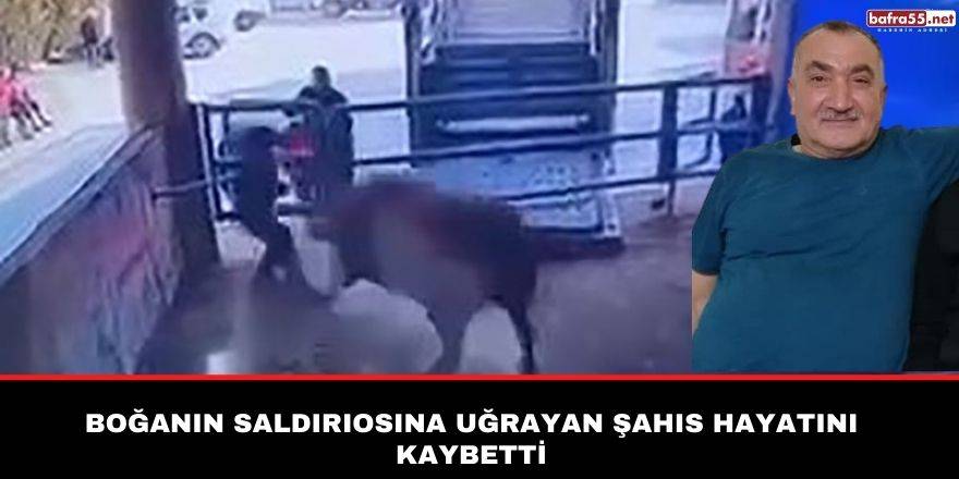 Boğanın saldırısına uğrayan şahıs hayatını kaybetti
