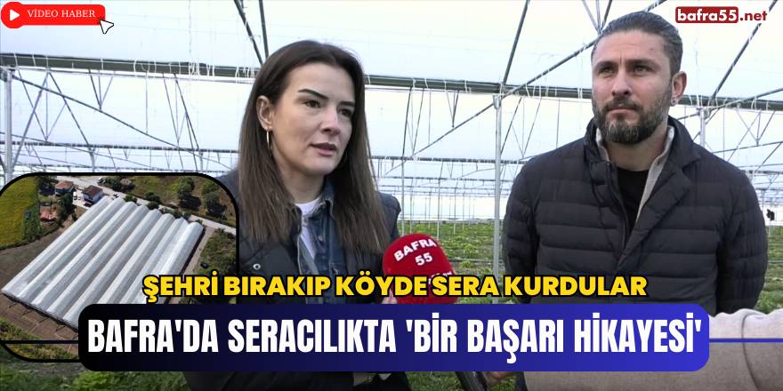Bafra'da Seracılıkta 'Bir Başarı Hikayesi'