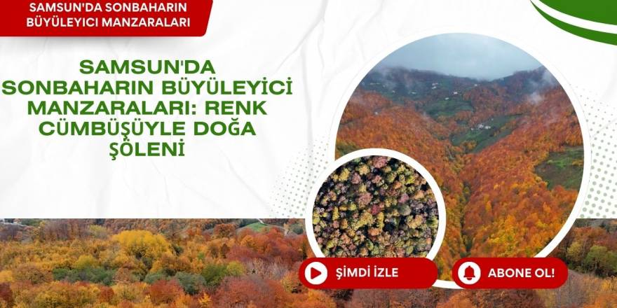 Samsun’da Sonbaharın Eşsiz Güzelliği: Renk Cümbüşüyle Doğa Harikası