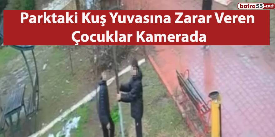 Çukurova’da Parktaki Kuş Yuvasına Zarar Veren Çocuklar Kamerada