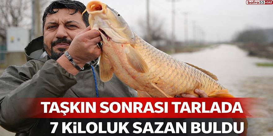 Edirne’de Taşkın Sonrası Tarlada 7 Kiloluk Sazan Buldu