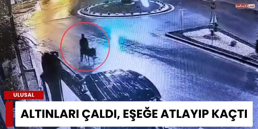 Altınları Çaldı, Eşeğe Atlayıp Kaçtı